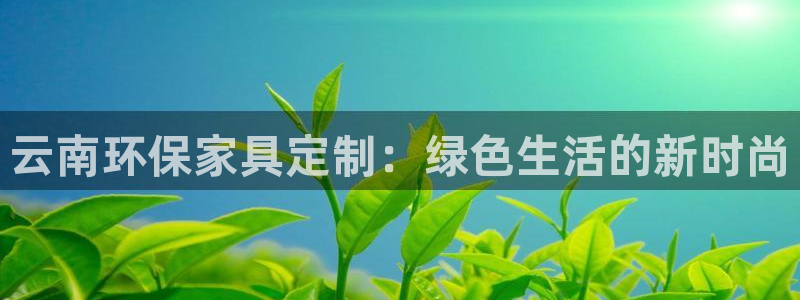 沐鸣2平台网站是什么：云南环保家具定制：绿色生活的新时尚