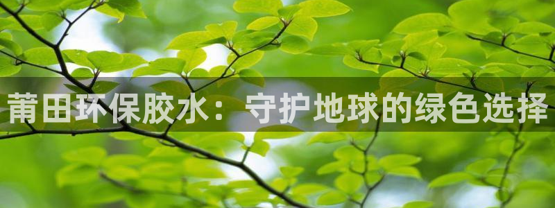 沐鸣2平台代理：莆田环保胶水：守护地球的绿色选择
