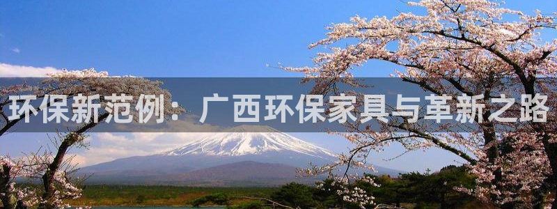 沐鸣2平台得专用通道：环保新范例：广西环保家具与革新之路