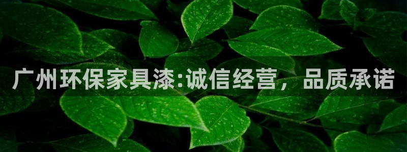 沐鸣2平台注册流程：广州环保家具漆:诚信经营，品质承诺