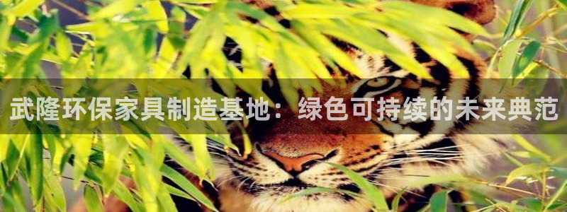 沐鸣2官方网：武隆环保家具制造基地：绿色可持续的未来典范