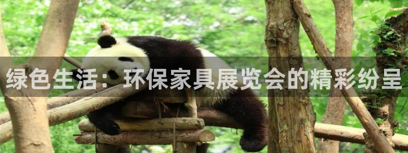 沐鸣2平台手机下载：绿色生活：环保家具展览会的精彩纷呈