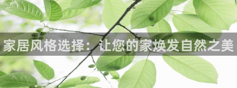 沐鸣2平台官方网站