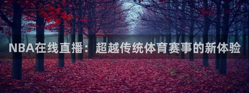 绿茵直播体育在线观看免费视频：NBA在线直播：超越传统体育赛事的新体验