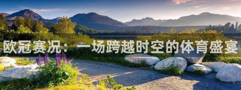 绿茵足球免费观看入口