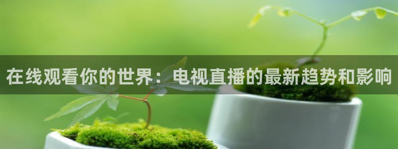 绿茵足球免费直播