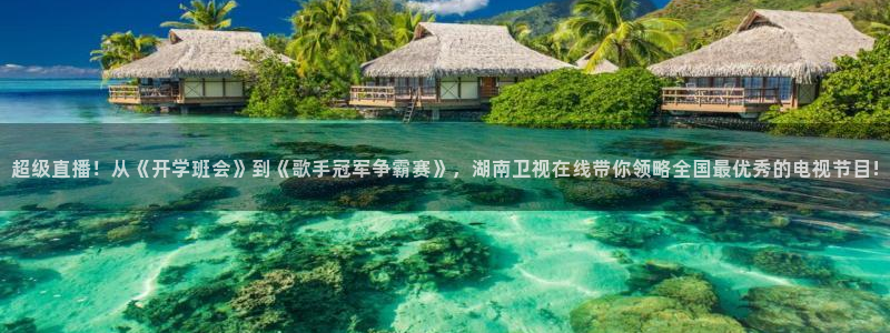 绿茵直播足球直播