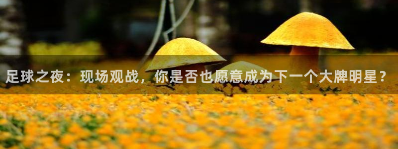 绿茵直播足球直播