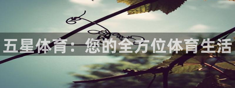 cba在线绿茵直播
