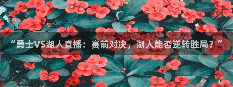 绿茵足球直播在线观看：“勇士VS湖人直播：赛前对决，湖人能否逆转胜局？”