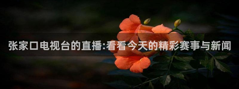 cba在线绿茵直播：张家口电视台的直播:看看今天的精彩赛事与新闻
