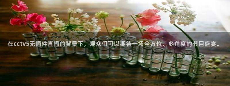 绿茵篮球直播：在cctv5无插件直播的背景下，观众们可以期待一场全方位、多角度的节目盛宴。