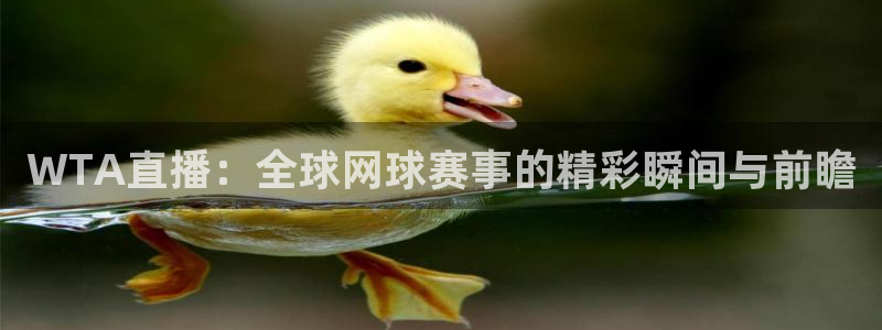 nba绿茵直播：WTA直播：全球网球赛事的精彩瞬间与前瞻