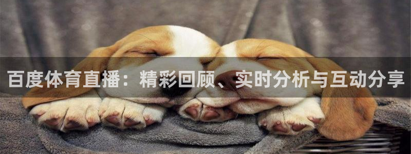 足球]绿茵魔术师：百度体育直播：精彩回顾、实时分析与互动分享
