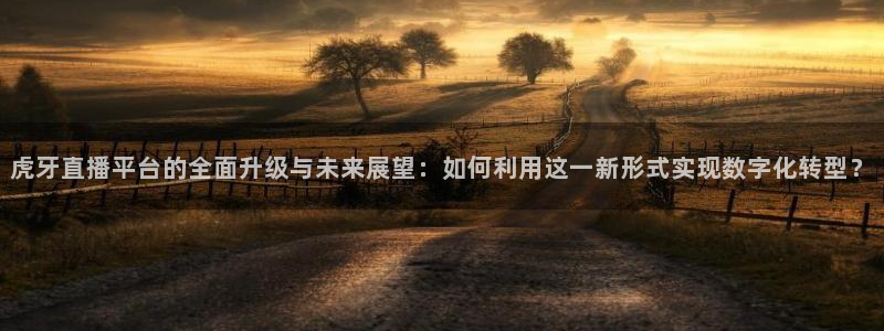 绿茵足球直播免费观看：虎牙直播平台的全面升级与未来展望：如何利用这一新形式实现数字化转型？