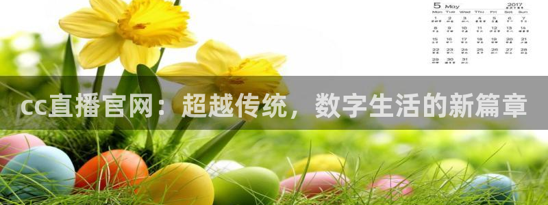 足球:无敌之全能绿茵巨星：cc直播官网：超越传统，数字生活的新篇章
