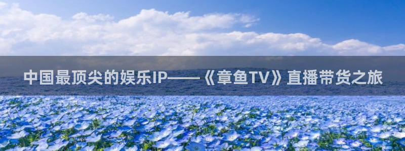 绿茵足球直播晚晚：中国最顶尖的娱乐IP——《章鱼TV》直播带货之旅