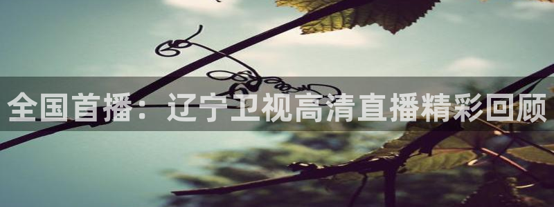 绿茵体育app官网入口：全国首播：辽宁卫视高清直播精彩回顾