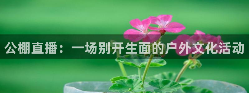 绿茵体育直播：公棚直播：一场别开生面的户外文化活动