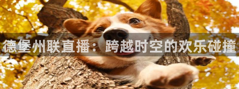 绿茵体育直播官网下载：德堡州联直播：跨越时空的欢乐碰撞