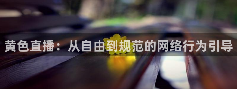 绿茵直播体育在线观看免费下载：黄色直播：从自由到规范的网络行为引导