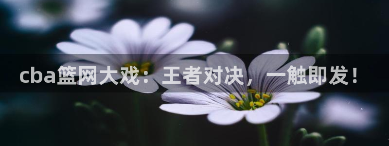 绿茵体育直播9939：cba篮网大戏：王者对决，一触即发！