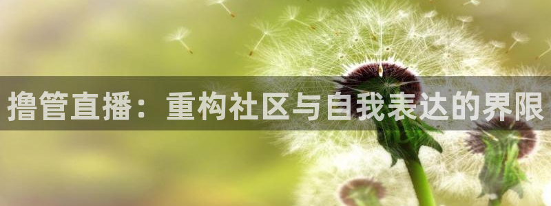 绿茵体育在线观看：撸管直播：重构社区与自我表达的界限